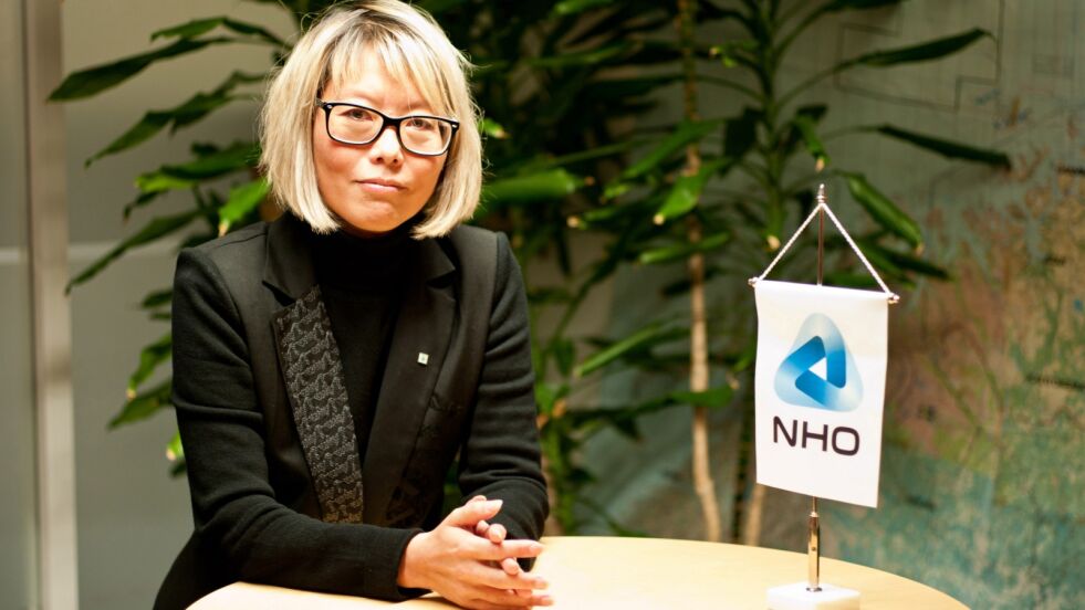 Regiondirektør for NHO Finnmark og NHO Troms og Svalbard, Målfrid Baik, legger frem det næringslivet i nord er mest opptatt av i valgkampen.
 Foto: Pressefoto