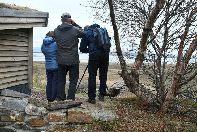 «Fuglenes dag» på Stabbursnes