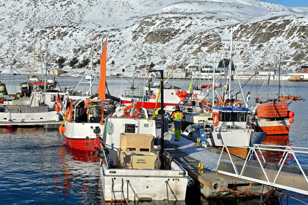 Regjeringen mener det er fornuftig å la små fartøyer velge redskap.
 Foto: Sonja E Andersen