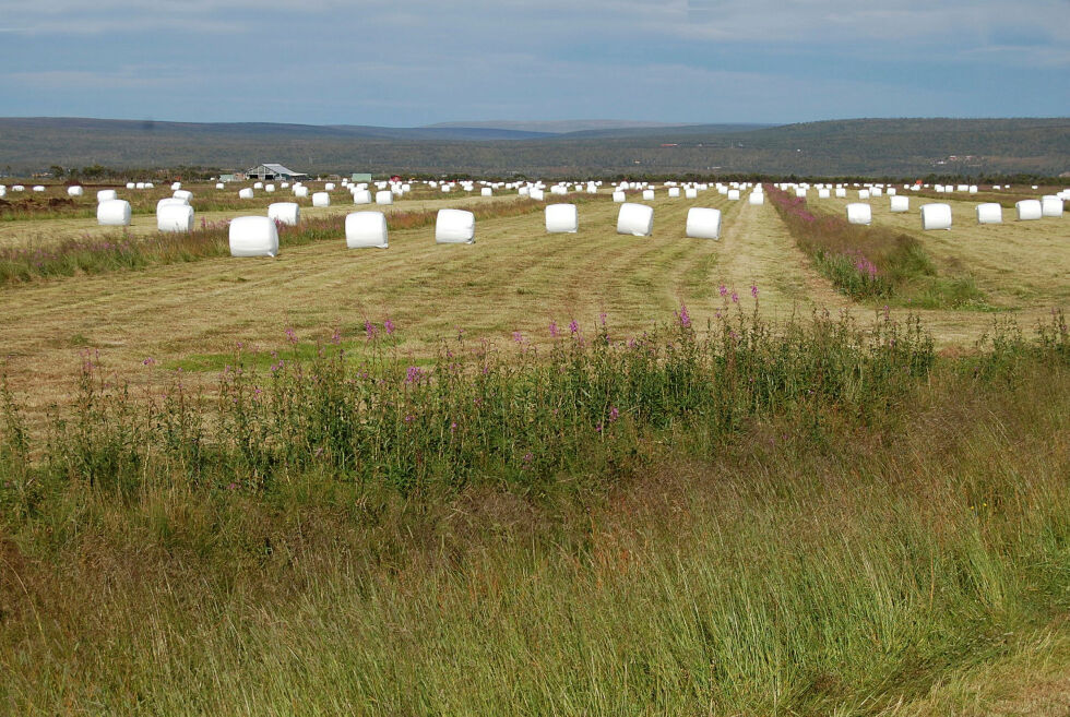 Bakgrunnen for at nettopp Karasjok kommune er plukket ut, er basert på en risikovurdering, opplyser statsforvalteren.
 Foto: Mari-Ann nilssen