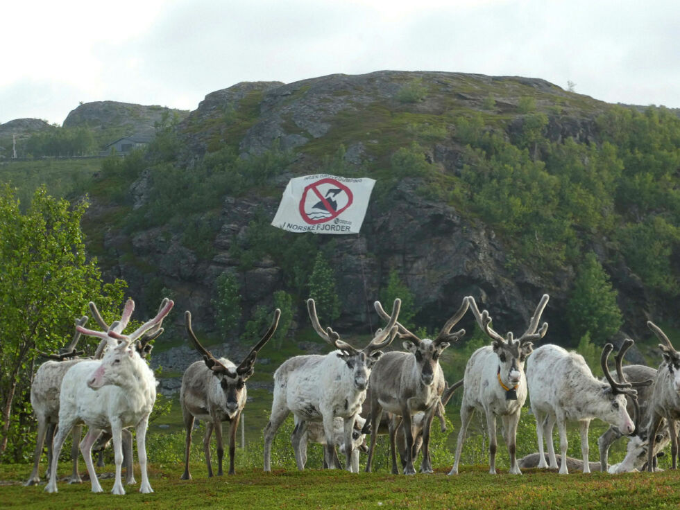 Gruvedrift i samiske områder møter protester, som her fra Repparfjord i Hammerfest. I Karasjok er det ingen politikere som hilser ny leitevirksomhet velkommen.
 Foto: Gaute Eiterjord