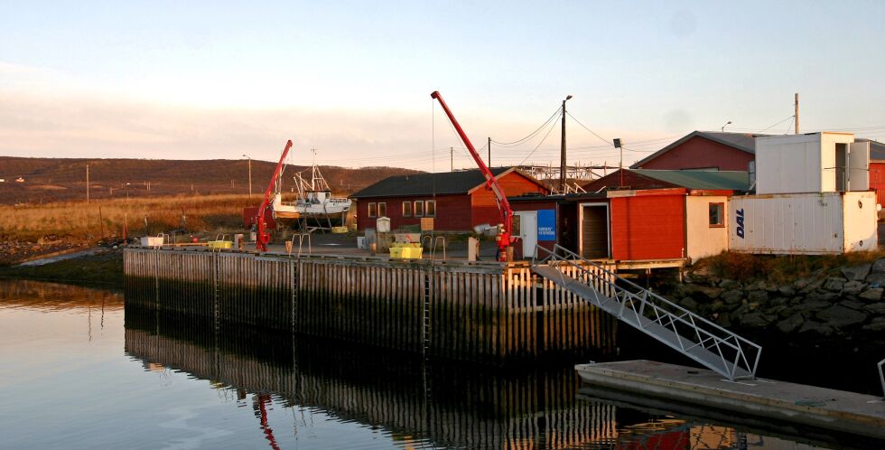Om politikerne følger rådmannens budsjettforslag for 2016, vil det bli investert 3 millioner kroner i et nytt mottaksanlegg for fisk ved Kløvnes havn i Nesseby
 Foto: Torbjørn Ittelin
