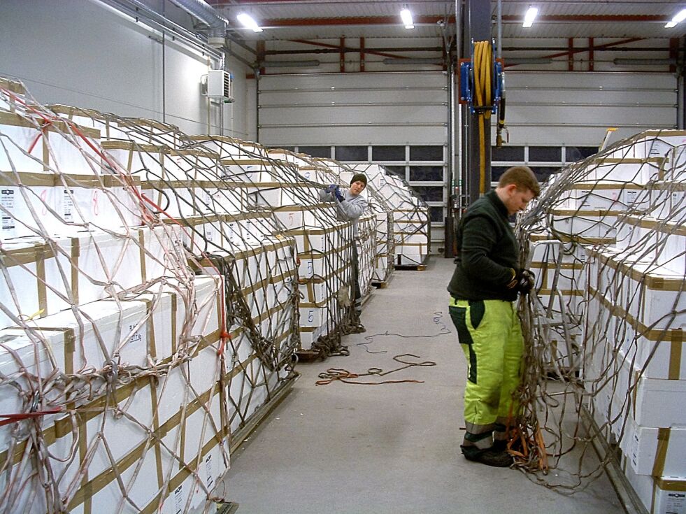 Cermaq har bekreftet at de vil bruke Lakselv lufthavn Banak til å fly sjømat ut i verden, ifølge NRK som erfarer at avtalen er på 110 tonn i uka. Dette bildet er fra 2016, da det gikk en rekke krabbefly fra lufthavna.
 Foto: Øystein Magnus Anvik (arkiv)