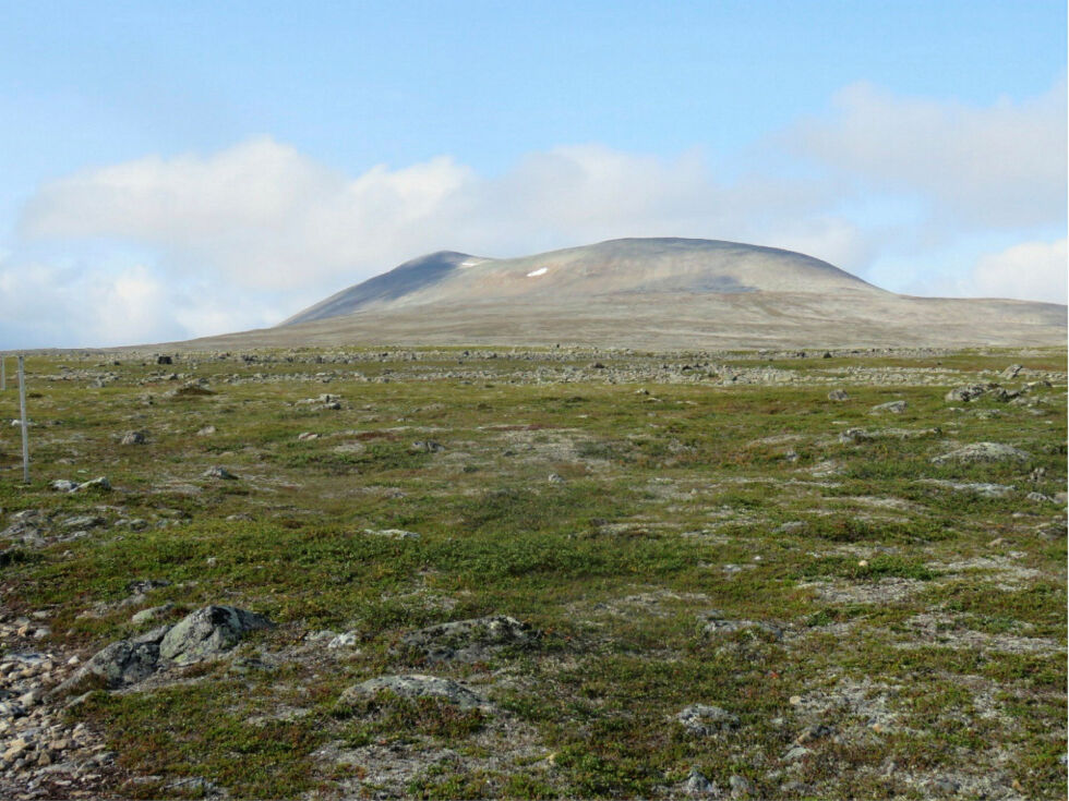 Rásttigáisá i Tana og Lebesby kommuner.
 Foto: Thoralf Henriksen