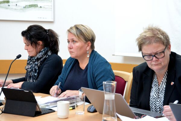 – Et noe underlig innspill