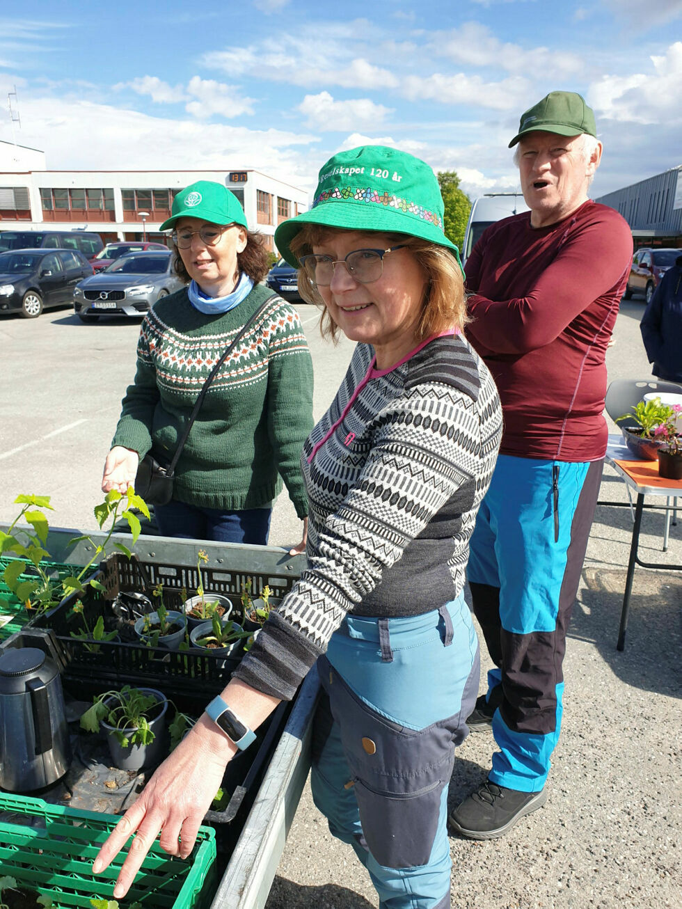 Blomster- og staudeselgere. Hege Hansen Opgård og Mona Bråthen og en stolt hagelagsleder Sigmund Hansen.
 Foto: Asfrid Karlsen