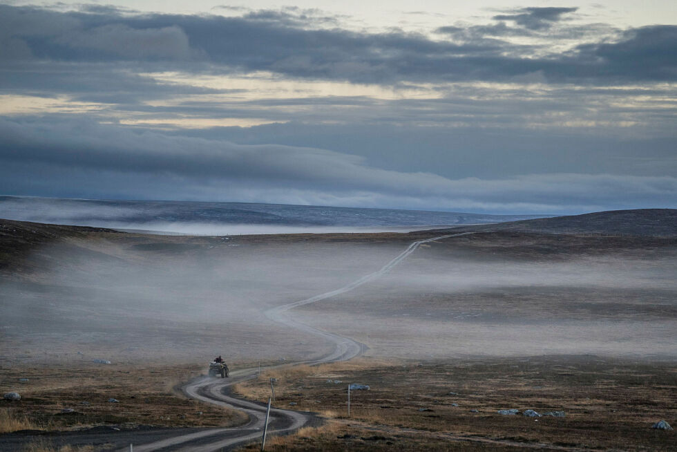 Illustrasjonsfoto: Therese Norman Andersen