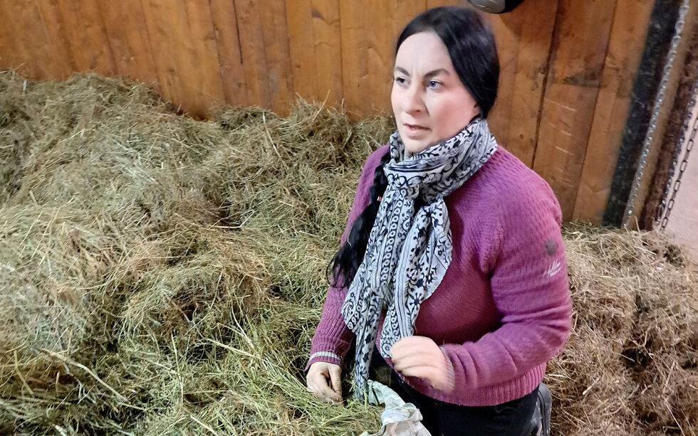 Topp høy. Gro lager klar åtte sekker med høy hver dag til sine to hester. – Høyet er fra Østerbotn og av topp kvalitet. Vi var heldige og fikk tak i tørre høyballer, selv om det var en del regn i sommer.
 Foto: Liss Beth Gjertsen Nyby