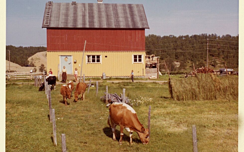 FOTO: ERNA LUND