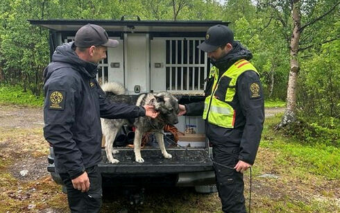Nå lever Bodibekkbinna på lånt tid