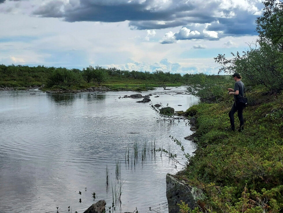 Foruten vannene er det fantastiske fiskeforhold etter ørret og røye i Gallokelva.
 Foto: John Arne Persen