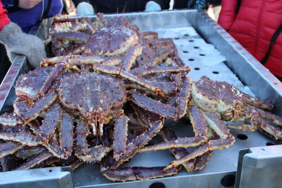 Vedtaket i departementet innebærer at fartøy med tillatelse til å fiske i det kvoteregulerte området kan lande 1.530 tonn hannkrabber og 120 tonn hokrabber.
Foto: Torbjørn Ittelin