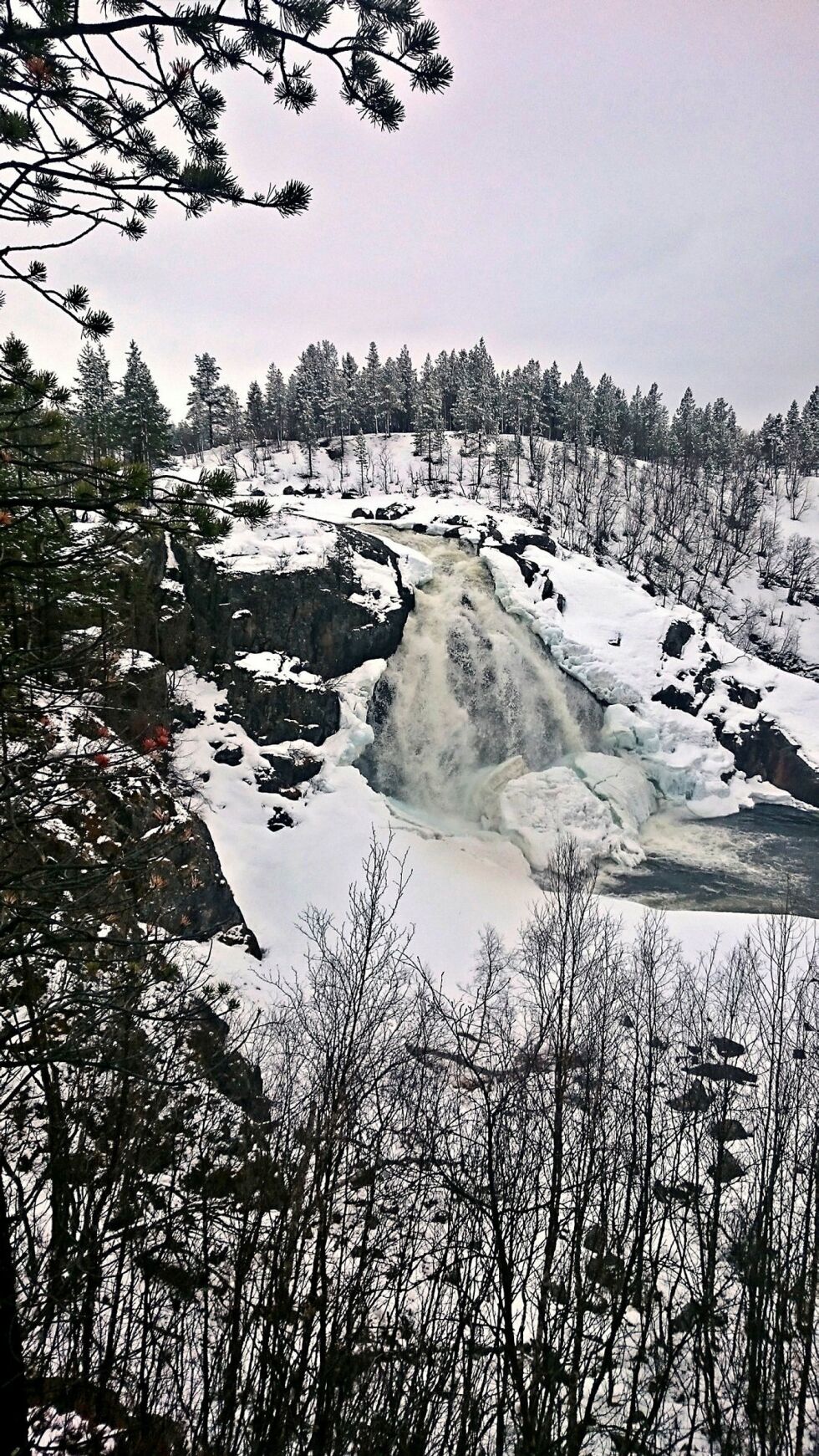 Området det er lett i og funnet diamanter, strekker seg på begge sider av Munkelva, men ikke så langt opp som 18-meteren vi ser på bildet.
Foto: Inge Arvola
