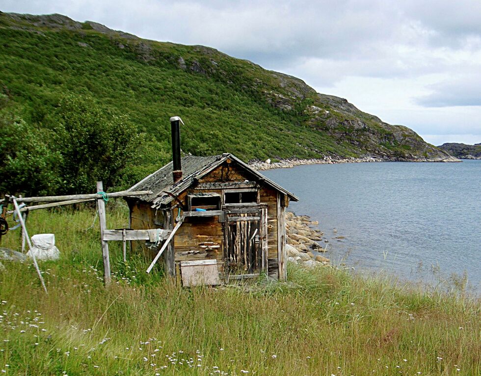 Lakse­hyt­te i Stor­bukt (Isolahti), Bug­øy­fjor­den. Arkivfoto: Vil­fred In­gi­læ
 Foto: Vilfred Ingilæ