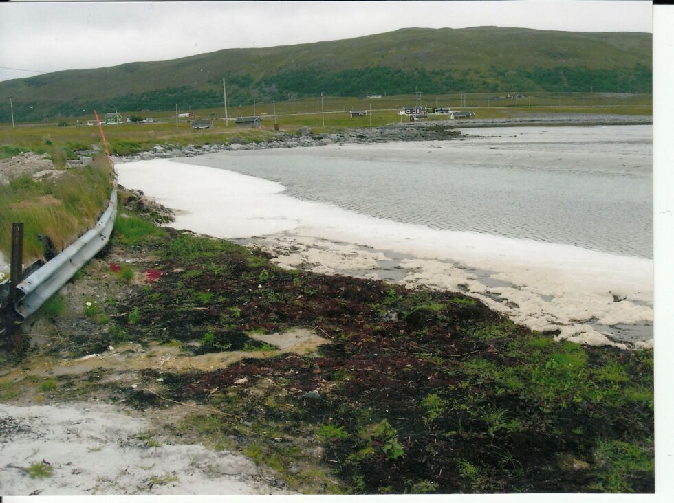 Sommeren 2019 ble Repvågstranda dekket av sleipe lag med fett og stinkende skum. Kan Grieg Seafood fortelle poss hva det var? FOTO: JOHN GUSTAVSEN