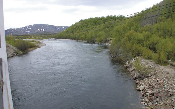 Halvering av antall utenlandske fiskere