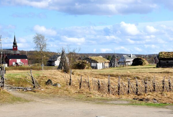 Laks på land