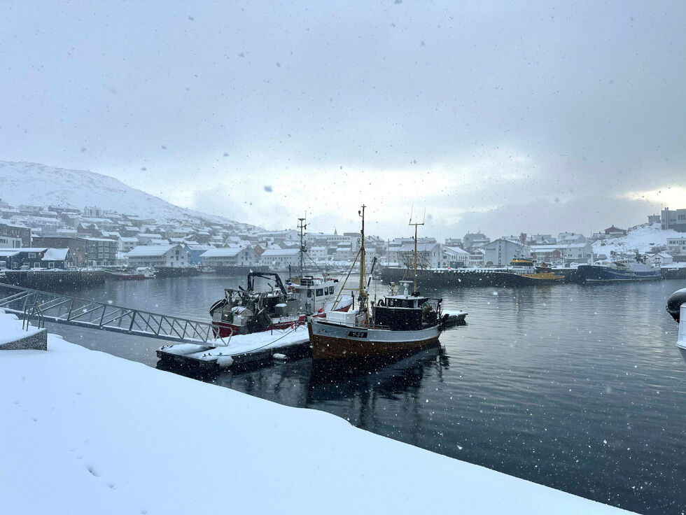Her skal fiskeflåten fortsatt være prioritert ifølge de siste kjente opplysninger om badstusaken.
 Foto: Jan Olsen