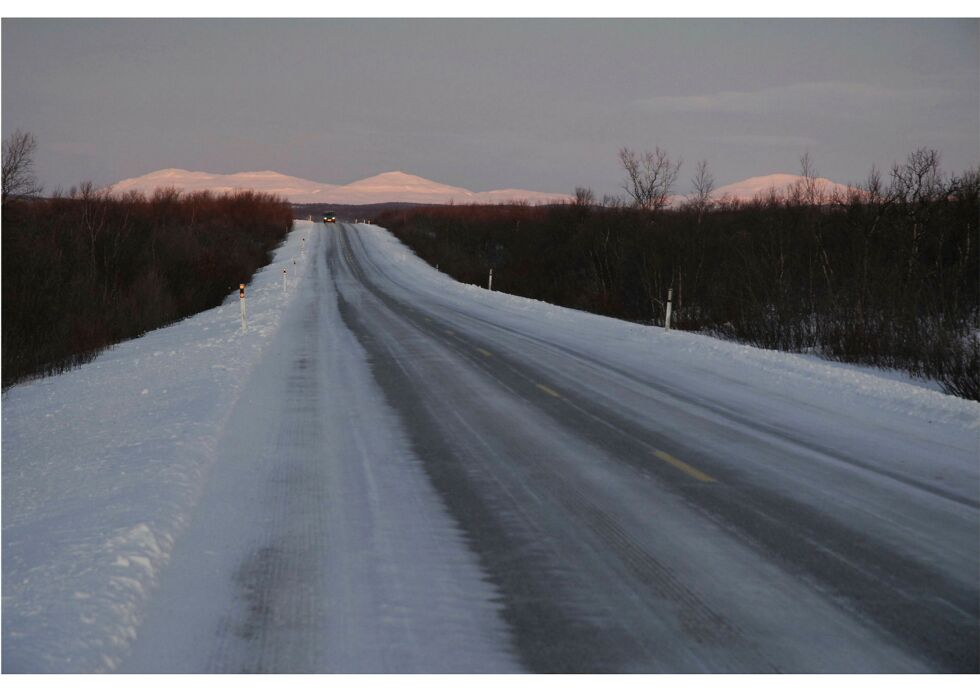 Fra E6 - Karasjok-veien, hovedveien gjennom Norge, med kratt på begge sider og 90 km/t som fartsgrense. Hva skjer når en rein eller elg løper over veien? Privat foto