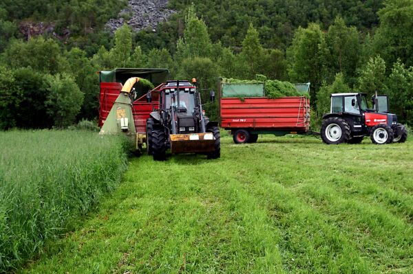 Stort potensiale i finnmarksjordbruket