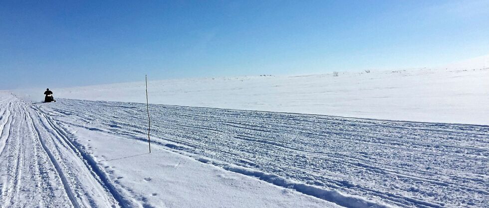 Lars Kri­sti­an Lind­sø ved ut­vik­lings­av­de­lin­gen i Pors­ang­er kom­mu­ne for­tel­ler at de fikk inn om lag 2.500 stik­ker av tre i fjor. Il­lust­ra­sjons­fo­to: Hei­di Bo­land
