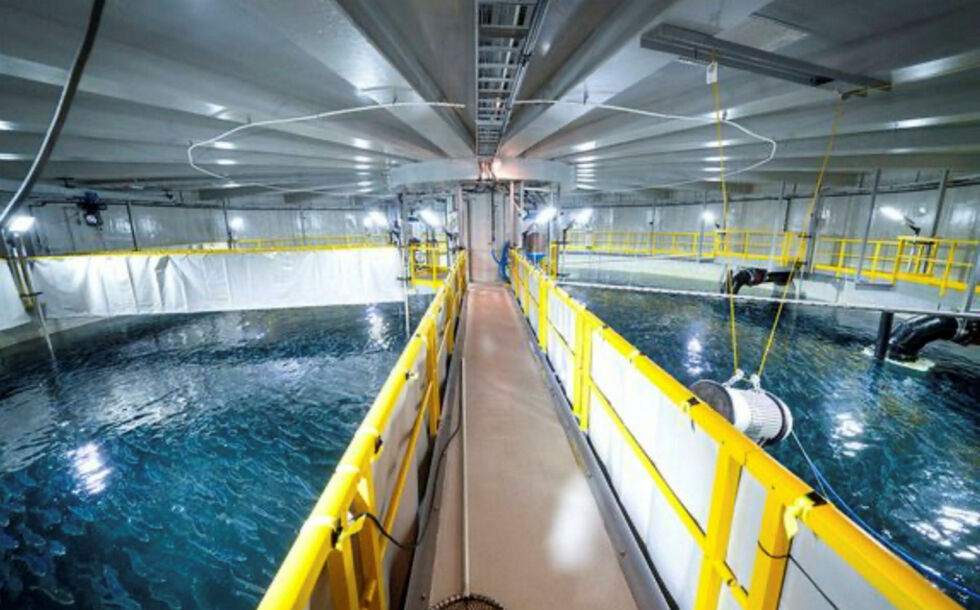 Landbaserte anlegg for fiskeoppdrett har utslipp som kan påvirke vannmiljøet. Forurensningsmyndighetene avdekket under omfattende tilsyn at spesielt utslippskontrollen er for dårlig.
 Foto: Illustrasjonsfoto: Gorm Kallestad / NTB
