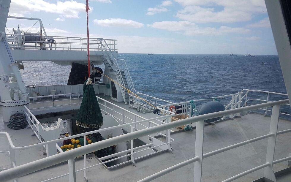 Det er ingenting som tyder på at makrellen har vandret inn og beitet i Barentshavet i år, heter det i rapporten etter årets makrell- og økosystemtokt.
 Foto: Tonje Nesse Forland, Havforskningsinstituttet