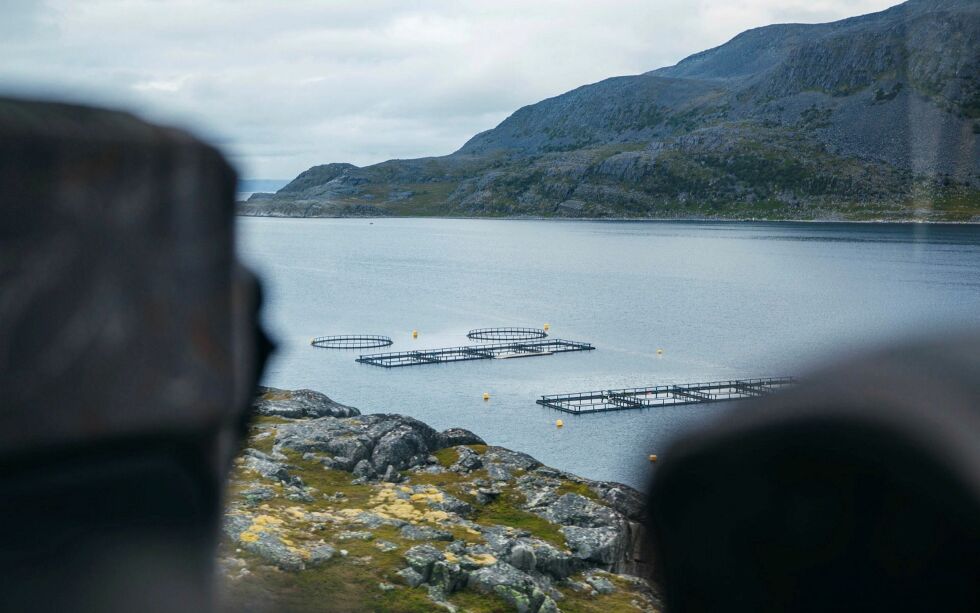 Alle kystkommuner i Finnmark er invitert til å delta på seminaret om kystsoneplaner som arrangeres i Vadsø 5. og 6. september.