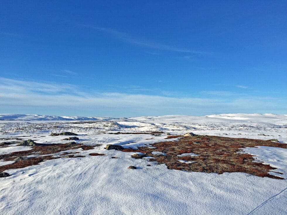 Mandag formiddag hadde ikke fylkesmannen fått en anmodning fra reindrifta om forlengelse av stenging av Nyelv-Gallokområdet for skutertrafikk.
 Foto: Privat/Illustrasjon