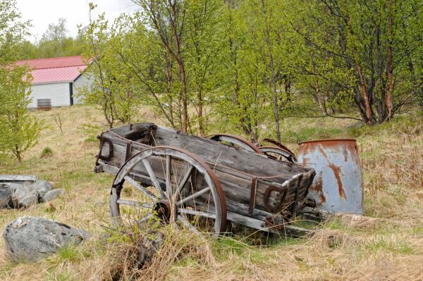 Gammel møkkvogn