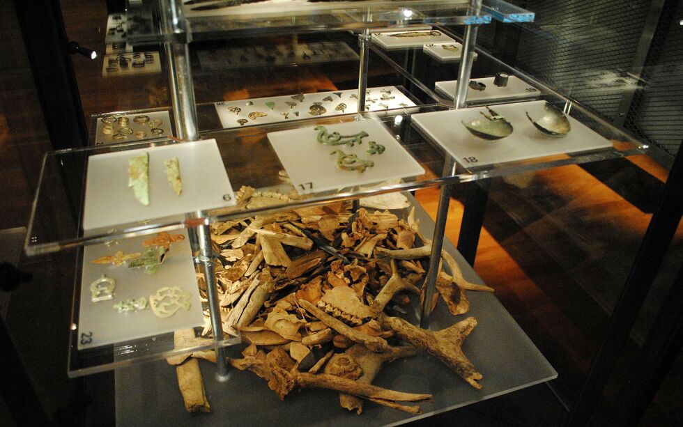 Bilde av utstillingen av metallgjenstander og dyrebein fra offerplassen Unna Saiva i Nord-Sverige. Bildet er tatt i utstillingen til Historiska museet i Stockholm, slik denne så ut i 2013-2014.
 Foto: Marte Spangen