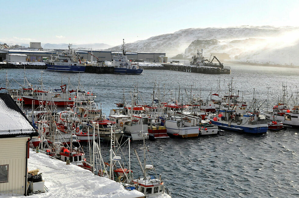 Kommunestyret i Måsøy vedtok nei til planinitiativ på Nipfjellet.
 Foto: Ronald Andersen