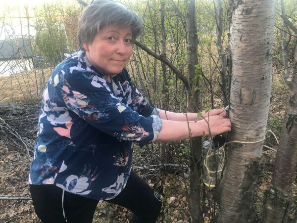 Folk liker å lære å høste av naturen