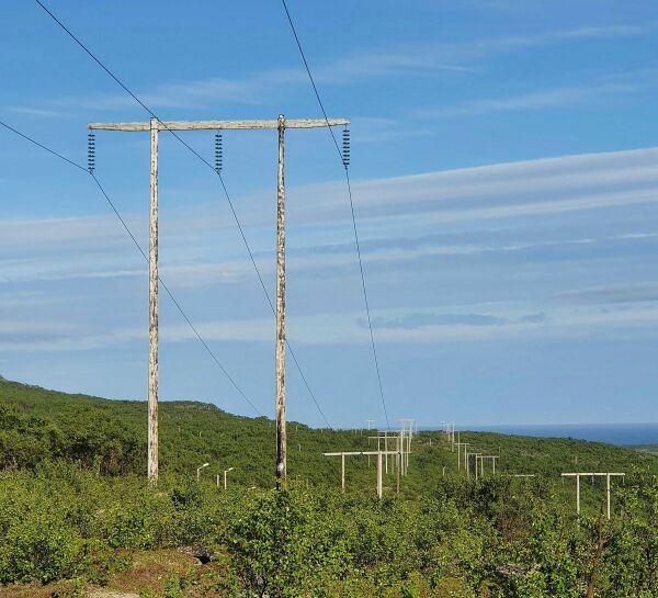 420 kV, NVE og høring