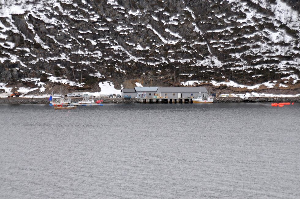 Storbukt Fiskeindustri AS fra Honningsvåg kjøpte fiskemottaket i Šuoššjohka i Vestertana fra Tana Fisk & Sjøfarm for et par år siden. I dag tar de imot torsk, kongekrabber og laks på anlegget. Fremover ønsker de å satse på fangstbasert oppdrett av torsk i tillegg.
 Foto: Tom Hardy