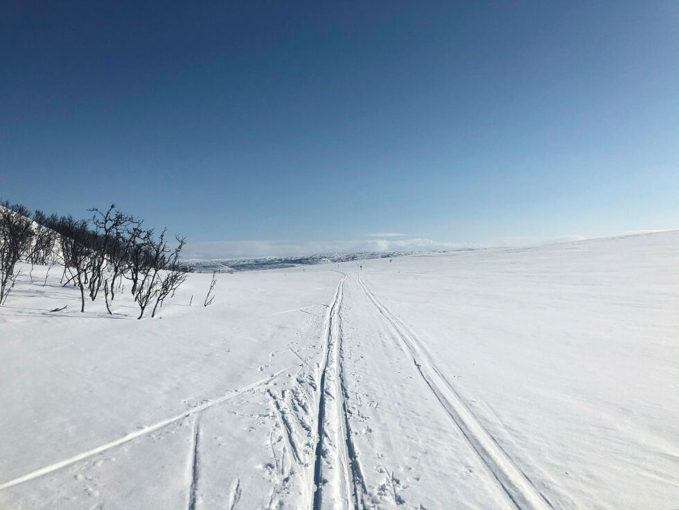 Tilskuddet til løypekjøring er fordoblet og det gleder Idrettsrådet i Tana seg over.
FOTO: Birgitte Wisur Olsen