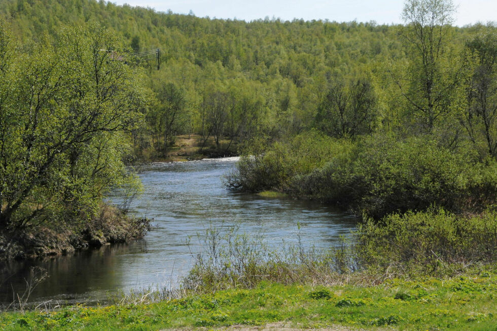 I Karpelva ble det heller ikke i år noen større vårflom.
 Foto: Hallgeir Henriksen
