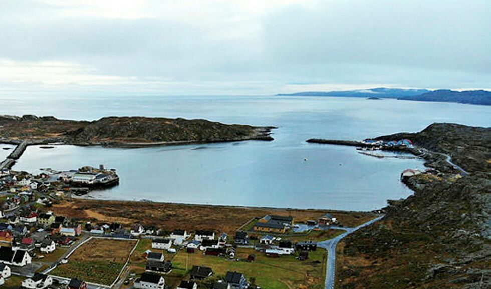En opprydding av havnebassenget i Bugøynes er beregna å koste rundt 30 millioner kroner, og fylkestinget ber staten ta regninga.
 Foto: Inge Arvola