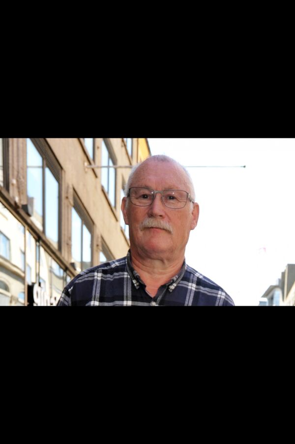 Politiske husmenn
