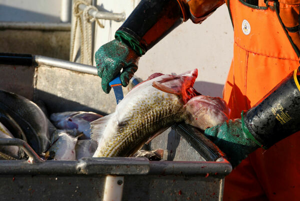 156 fiskere har omkommet på jobb siden 2000