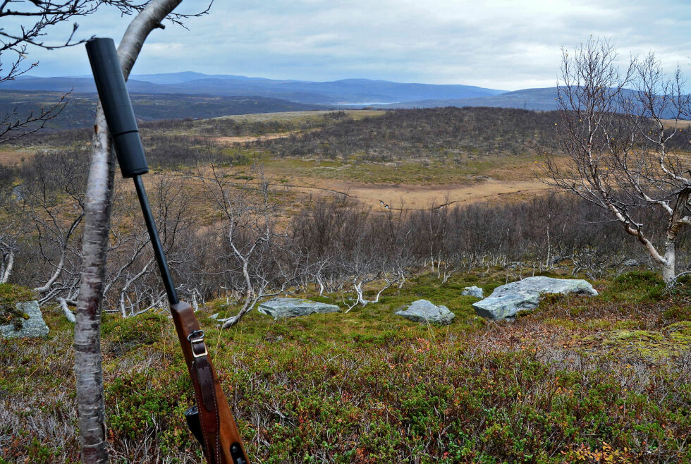 Lørdag morgen smeller det i gang for årets elgjegere i Finnmark – i form av at FeFo åpner for søknader. Arkivfoto
 Foto: Arkivfoto