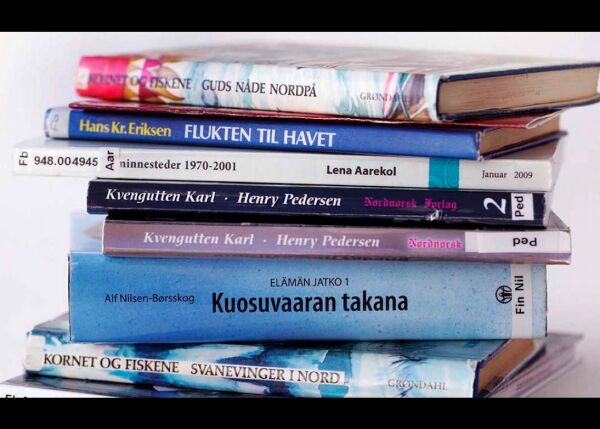 Til nye Hamarøy kommune – tenk bibliotek!