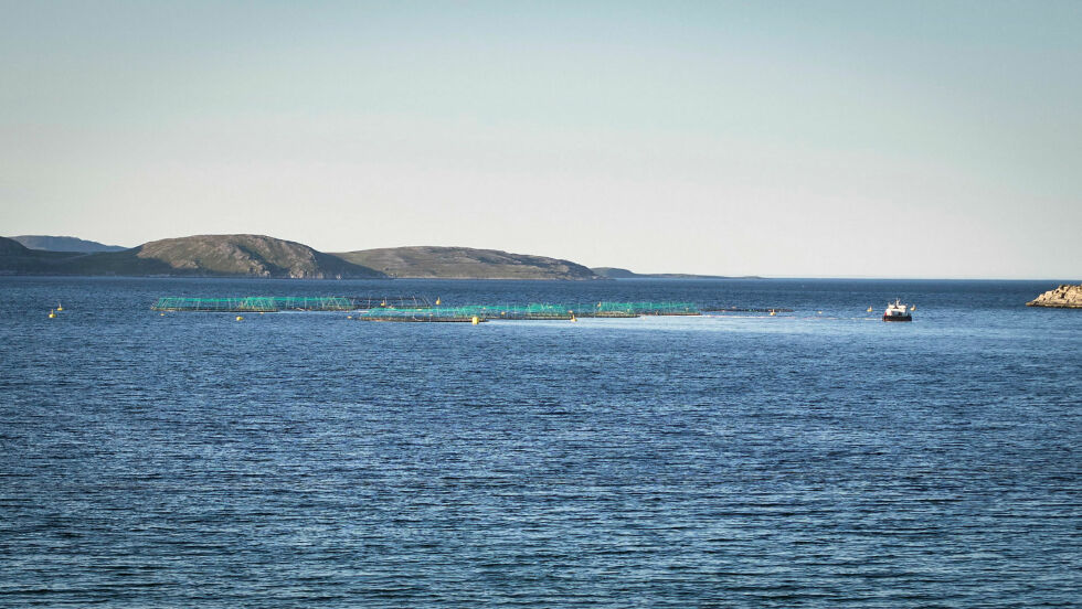 En sjark tok fyr onsdag morgen midt i Porsangerfjorden. (Ill.foto: Geir Johansen)