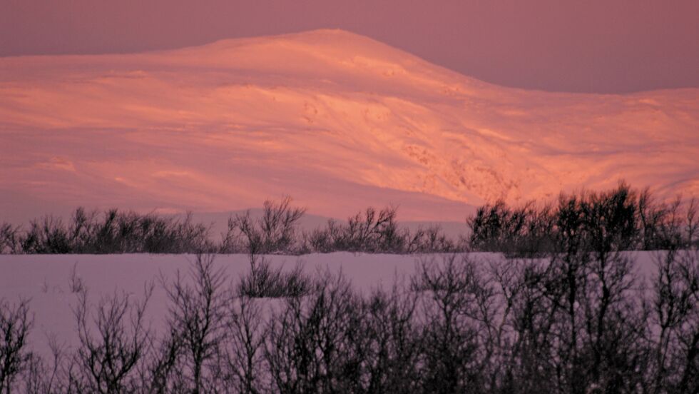 Foto: Lars Birger Persen (arkiv)