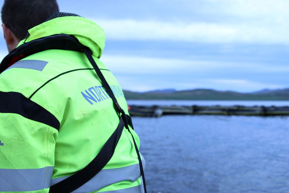 Om dispensasjonssøknadene ikke blir behandlet i tide, kan det spøke for videre oljeomlasting i Kirkenes. NSR politiker Christina Henriksen ser heller at kommunen satser på fornybare næringer som fiskeindustri og reiseliv, enn oljeomlasting i Bøkfjorden. Ordfører Rune Rafaelsen vil derimot gjøre begge deler.
Foto: Silje L. Kvammen
