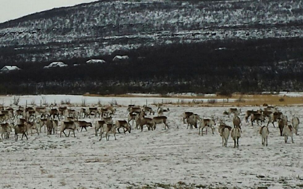 Illustrasjonsfoto: Torbjørn Ittelin