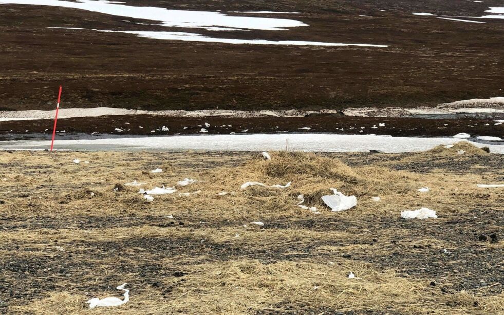 Plas­ten lig­ger spredt i ter­ren­get ved Stor­el­va, men rein­ei­er­ne lov­er å fjer­ne det etter­hvert som det duk­ker opp fra sne­en.
Foto: Pri­vat