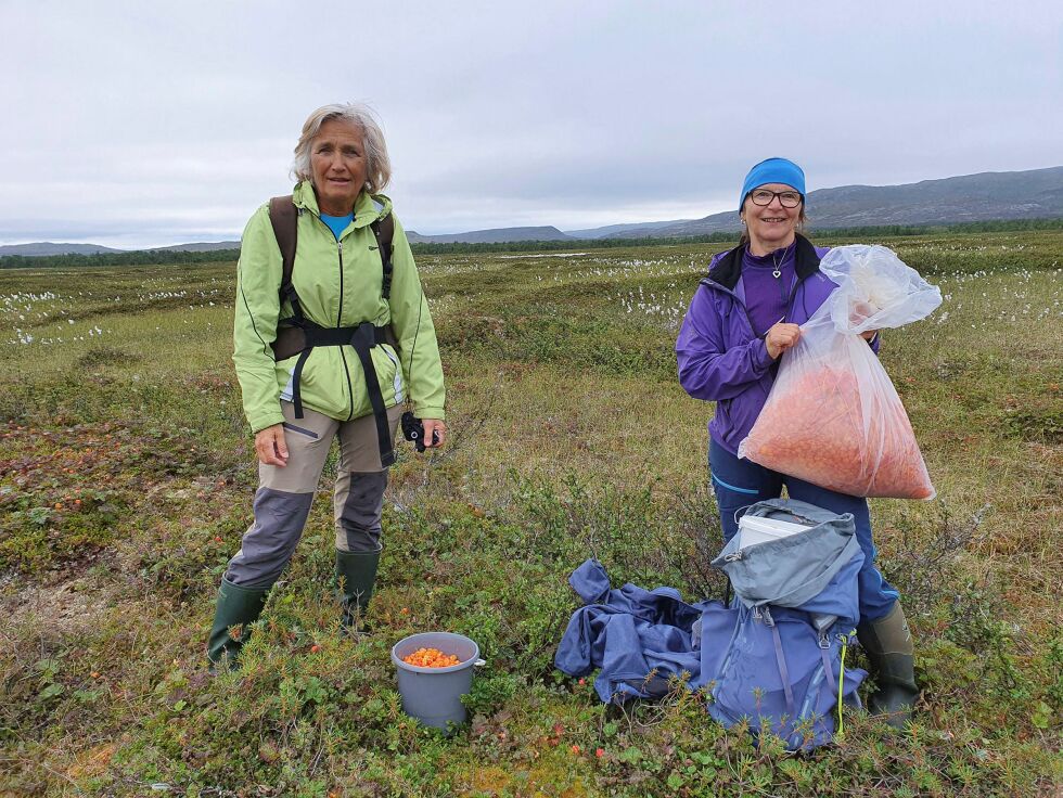 I løpet av dagen har Inger Varsi (til venstre) fra Tanabru og Marit Johansen fra Gárdak fylt sekkene med multer. – Vi har ikke sett så mye bær på Korsmyra på 20 år, sier de. ALLE Foto: Tom Hardy