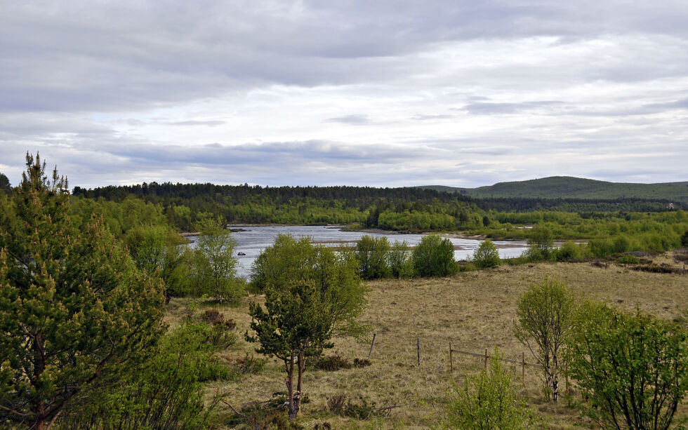 Den gamle postveien mellom Karasjok og Alta starter ved Ássebákti.
 Foto: Stein Torger Svala