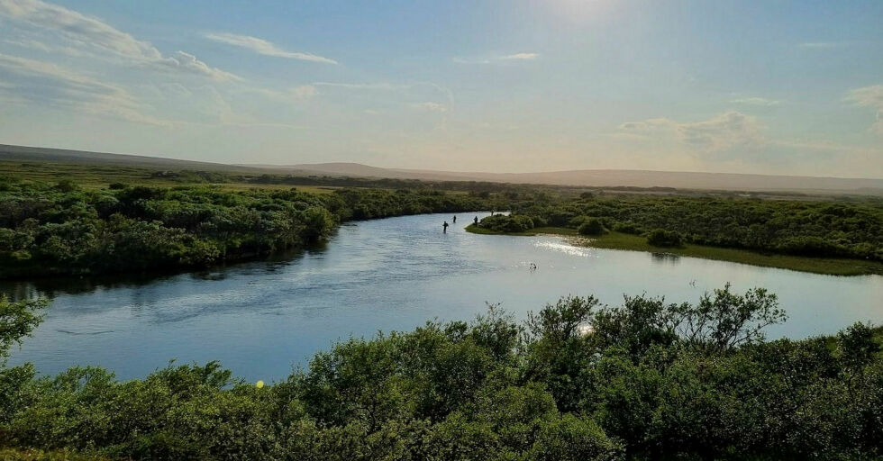 Et knippe medlemmer i Skallelv jeger- og fiskerforening mener den delen av elva det her er snakk om må holdes åpen for fiske hele juli, og ikke i kun ti dager. Bildet er fra området i elva som kalles Stilla.
 Foto: Privat
